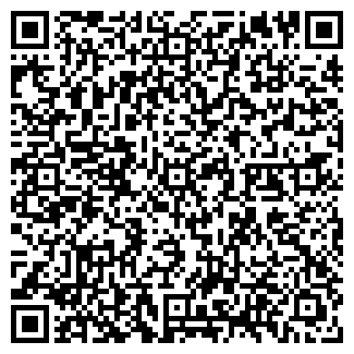 QR-код с контактной информацией организации Илона