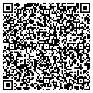 QR-код с контактной информацией организации Копеечка, магазин продуктов