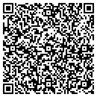 QR-код с контактной информацией организации Магазин продуктов, ООО Элвис