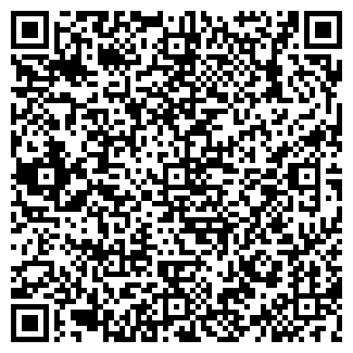 QR-код с контактной информацией организации № 173 ЛУЧИК