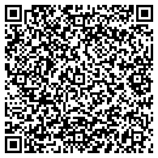 QR-код с контактной информацией организации Магазин продуктов, ИП Железняков П.Ю.
