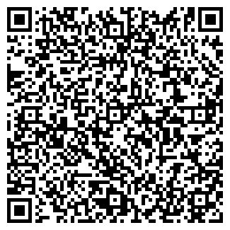 QR-код с контактной информацией организации Магазин продуктов, ООО Спутник