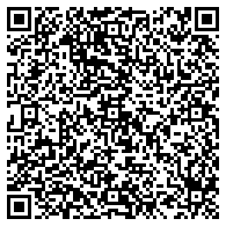 QR-код с контактной информацией организации ООО Виза-партнер