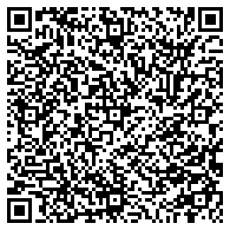 QR-код с контактной информацией организации Галина, магазин продуктов
