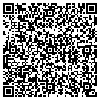 QR-код с контактной информацией организации Виза, магазин продуктов