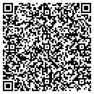 QR-код с контактной информацией организации ИП Новиков И.Н.