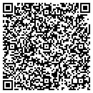 QR-код с контактной информацией организации Дебют