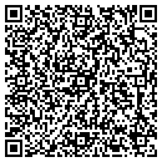 QR-код с контактной информацией организации ИП Врюгель В.С.