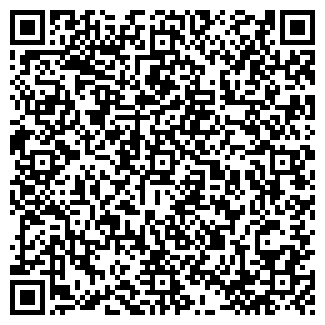 QR-код с контактной информацией организации DVD35.rub