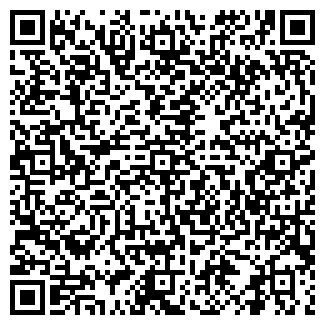 QR-код с контактной информацией организации Шар