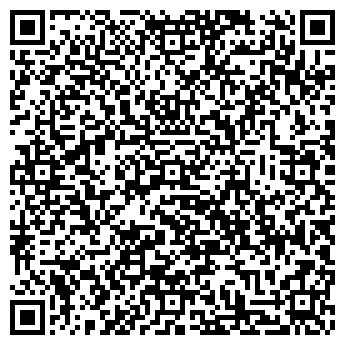QR-код с контактной информацией организации Снежная королева, продовольственный магазин