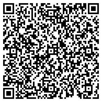 QR-код с контактной информацией организации ИП Торопова С.Н.