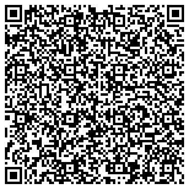QR-код с контактной информацией организации «Детская школа искусств г. Видное»