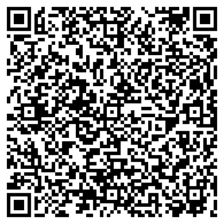 QR-код с контактной информацией организации РУССО ХЕМИ