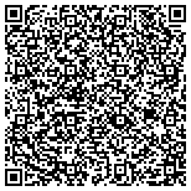 QR-код с контактной информацией организации Балтийский лизинг, лизинговая компания, филиал в г. Пскове