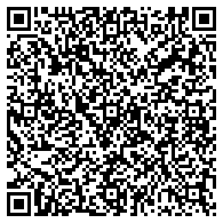 QR-код с контактной информацией организации ИП Лопатин В.С.