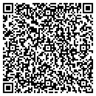QR-код с контактной информацией организации ИП Салата Л.С.