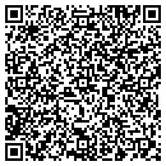 QR-код с контактной информацией организации ИП Бажилина С.В.