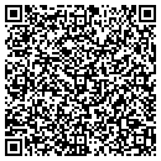 QR-код с контактной информацией организации Балашиха