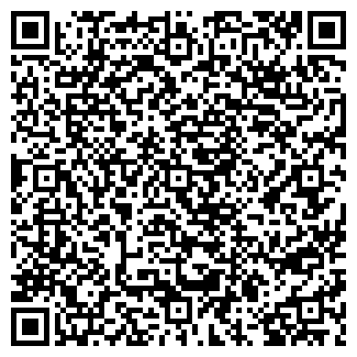 QR-код с контактной информацией организации Мегамойка