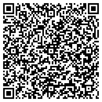 QR-код с контактной информацией организации ИП «БАРС-Авто»