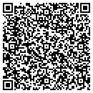 QR-код с контактной информацией организации Black Cube