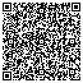 QR-код с контактной информацией организации "Небо"