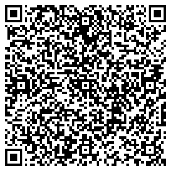 QR-код с контактной информацией организации ИП Соловьев М.В.