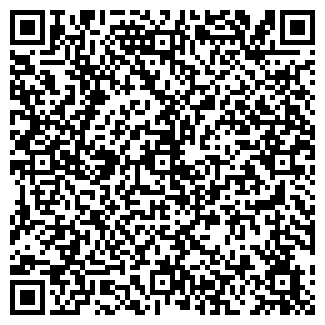 QR-код с контактной информацией организации ИП Попов Е.И.