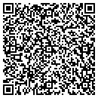 QR-код с контактной информацией организации Samovarcheg.ru