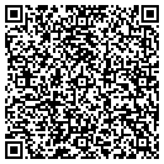 QR-код с контактной информацией организации АЗС Ergo