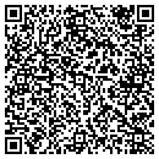 QR-код с контактной информацией организации Вавилон-Авто