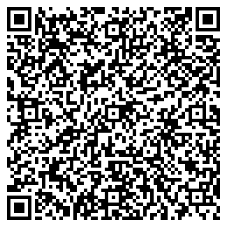 QR-код с контактной информацией организации ИП Саласина А.В.