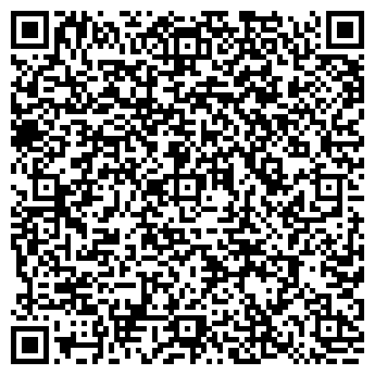 QR-код с контактной информацией организации ИП Бабенко Л.Н.
