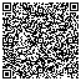 QR-код с контактной информацией организации ИП Дмитриев В.Р.