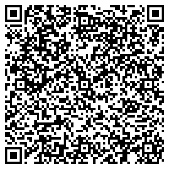 QR-код с контактной информацией организации Алиса