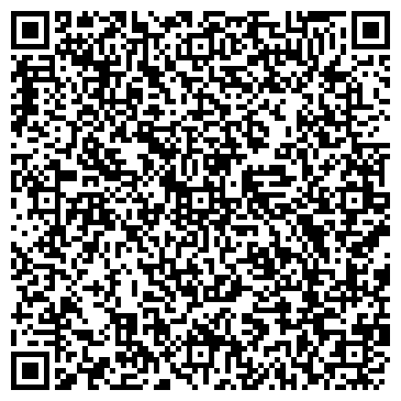 QR-код с контактной информацией организации ИП Копылов Н.Н.