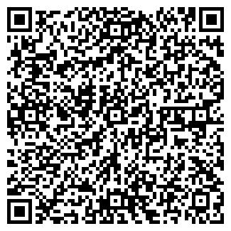 QR-код с контактной информацией организации Аптека №2, МП