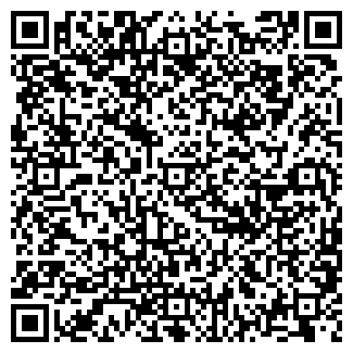 QR-код с контактной информацией организации Сабантуй