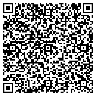 QR-код с контактной информацией организации ИП Исаева В.В.
