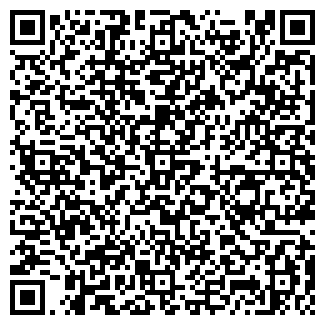 QR-код с контактной информацией организации Товары для праздника