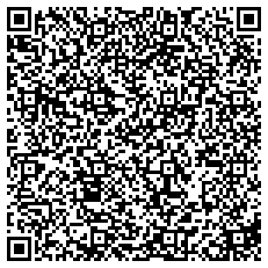 QR-код с контактной информацией организации Вау!, интеллект-лагерь, Представительство в городе