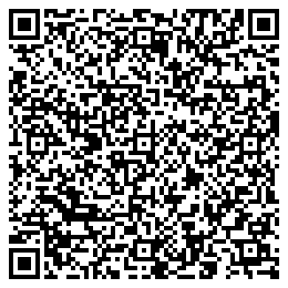 QR-код с контактной информацией организации Бис
