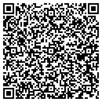 QR-код с контактной информацией организации Миро