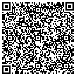 QR-код с контактной информацией организации ООО Василина