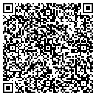 QR-код с контактной информацией организации ЭЛСИС, ЧП