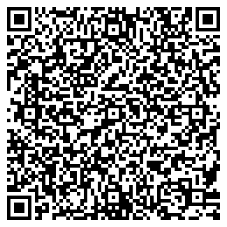 QR-код с контактной информацией организации Багажник