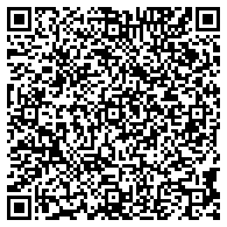 QR-код с контактной информацией организации Багажник