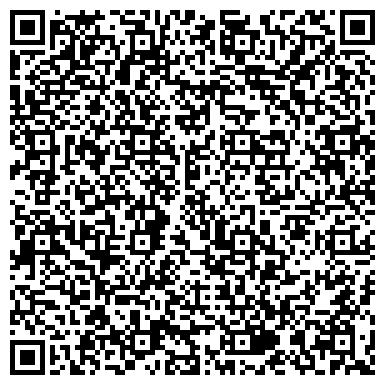 QR-код с контактной информацией организации Детский сад №221, Ромашка, для детей с нарушением зрения