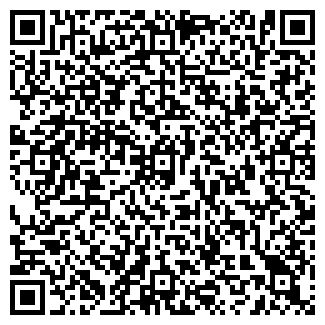 QR-код с контактной информацией организации Детский сад №63